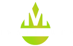 smp institute logo